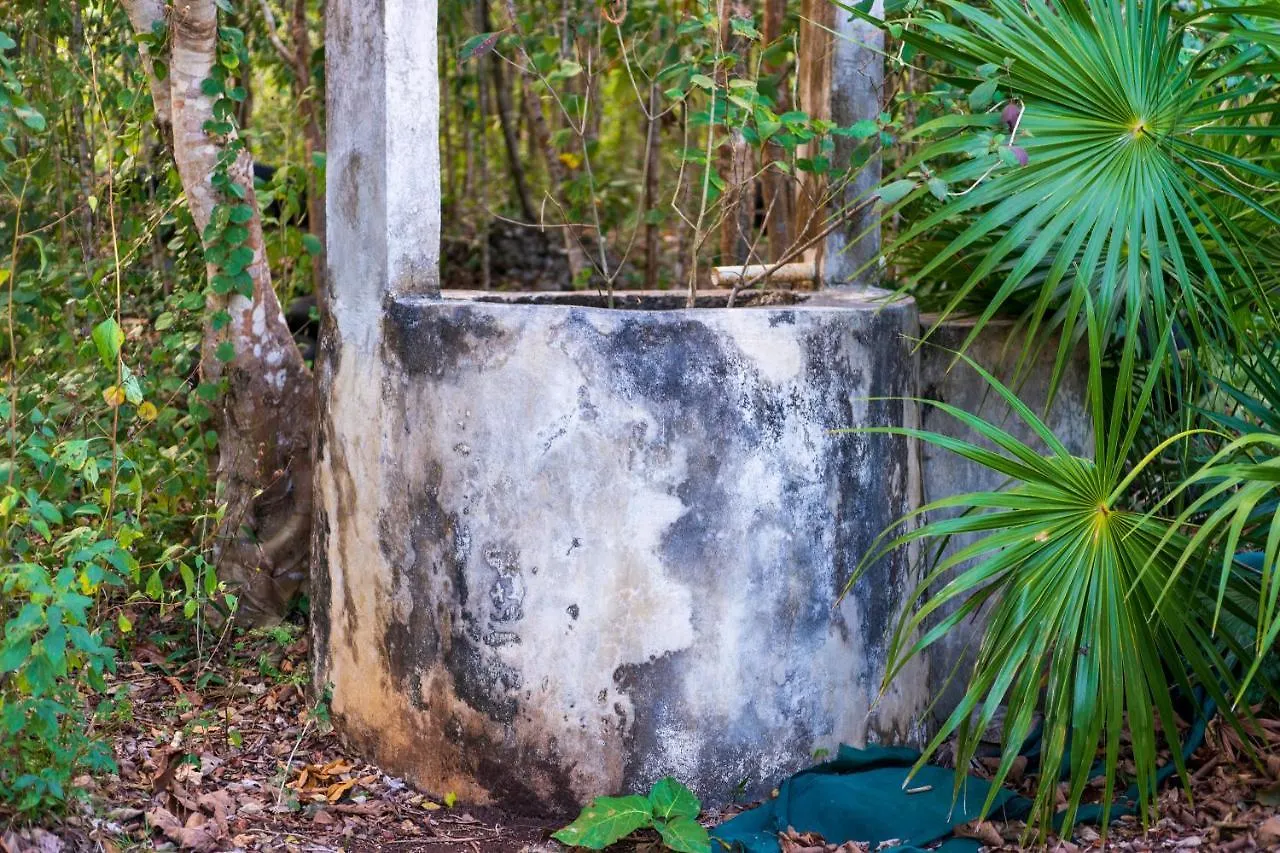 Finca Tuch Campsite Cancun